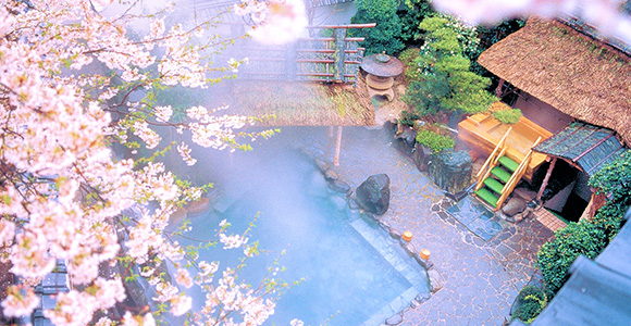 Public Onsen Baths