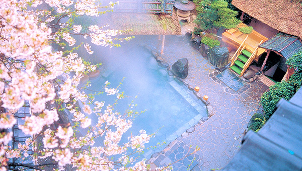 Open-air bath ｰ spring
