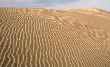 Tottori Sand Dunes