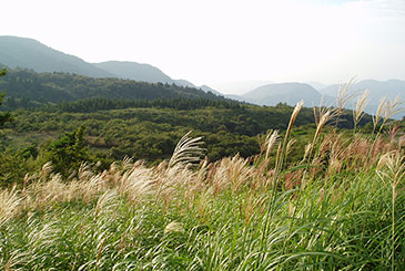 上山高原